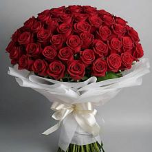 Букет 101 Красная роза Блэк Мэджик в Сикаках