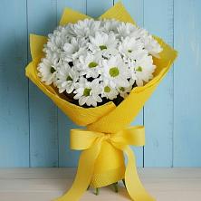 Букет цветов из:  Хризантемы в Сикаках