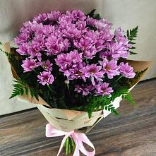 Букет цветов из:  Хризантемы #REPLACE_PRED# Сикаках