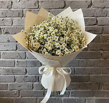 Букет цветов из:  Ромашки в Сикаках