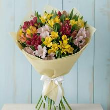 Букет цветов из:  Альстромерии в Сикаках