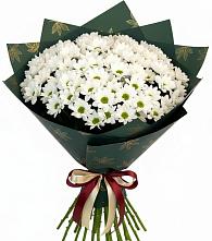 Букет цветов из:  Хризантемы в Сикаках