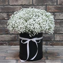Цветочная композиция из Гипсофила в шляпной коробке в Сикаках