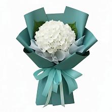 Букет цветов из:  Гортензия в Сикаках